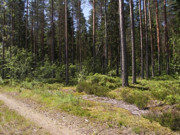 Ymp&auml;rist&ouml; 2