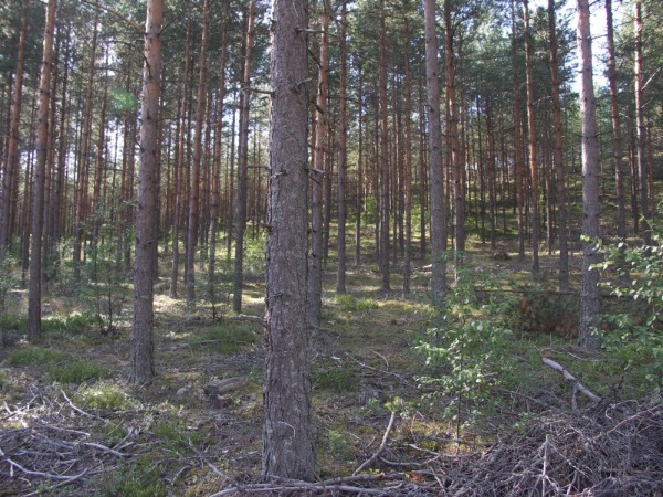 Ymp&auml;rist&ouml; 2