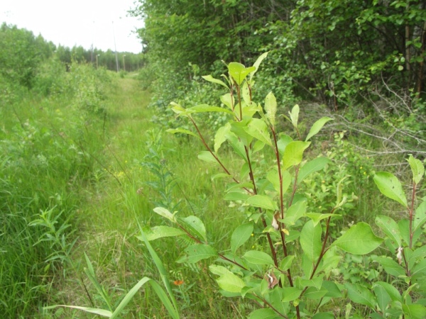 Ymp&auml;rist&ouml; 1