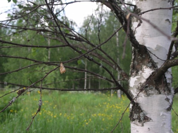 Ymp&auml;rist&ouml; 1