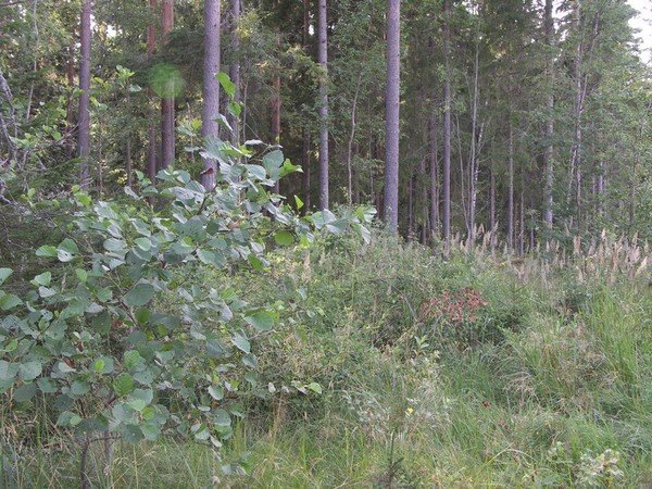 Ymp&auml;rist&ouml; 2