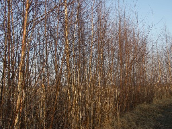 Ymp&auml;rist&ouml; 1