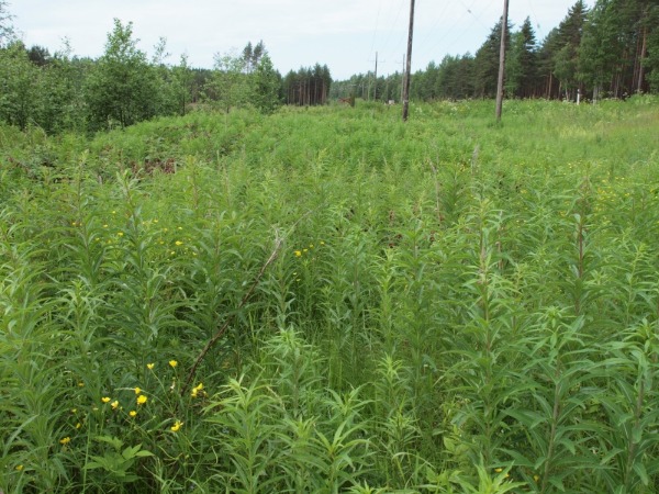 Ymp&auml;rist&ouml; 1