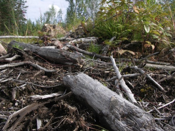 Ymp&auml;rist&ouml; 1