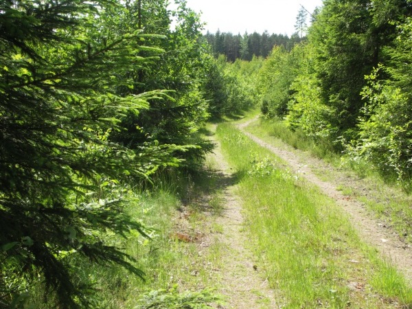 ymp&auml;rist&ouml; 1