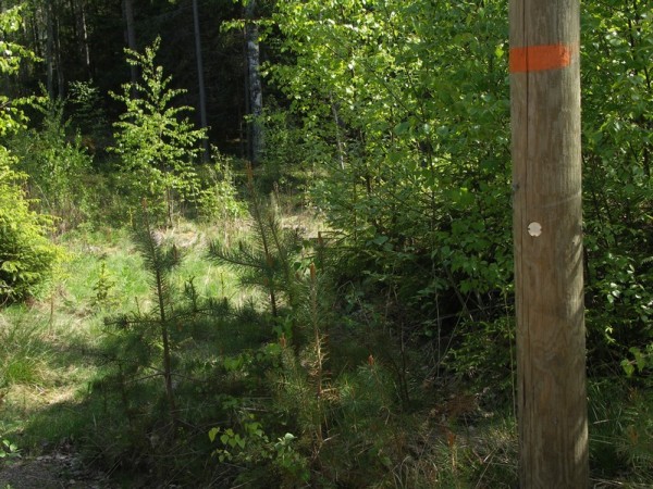 Ymp&auml;rist&ouml; 1