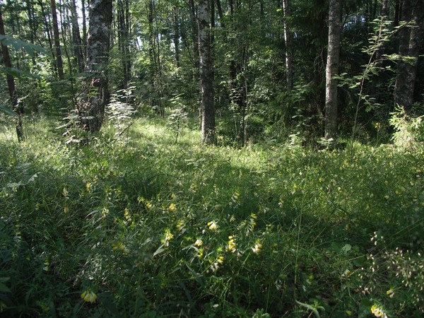 Ymp&auml;rist&ouml; 1