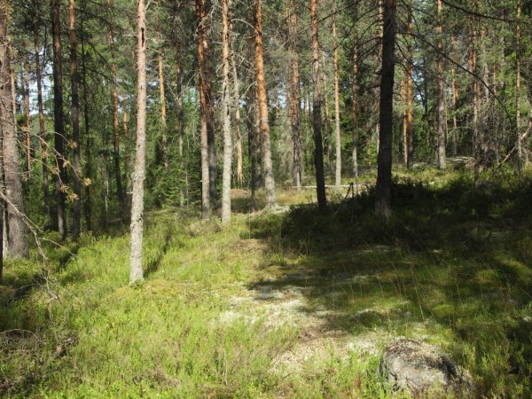 Ymp&auml;rist&ouml; 2