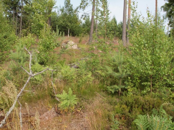 Ymp&auml;rist&ouml; 4