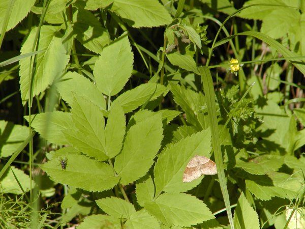 Kuva 3