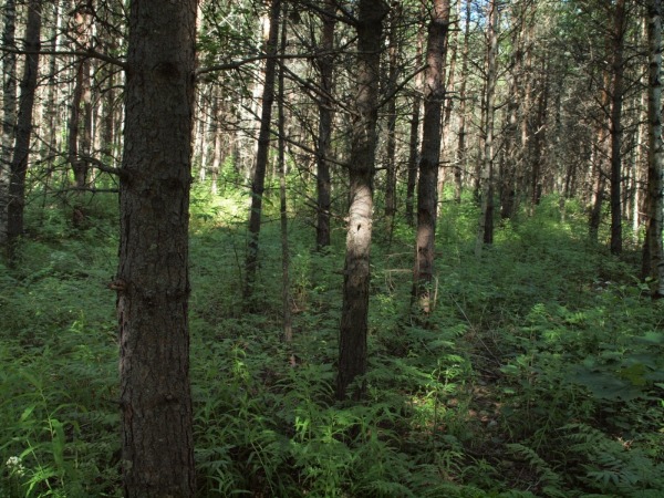 ymp&auml;rist&ouml; 1