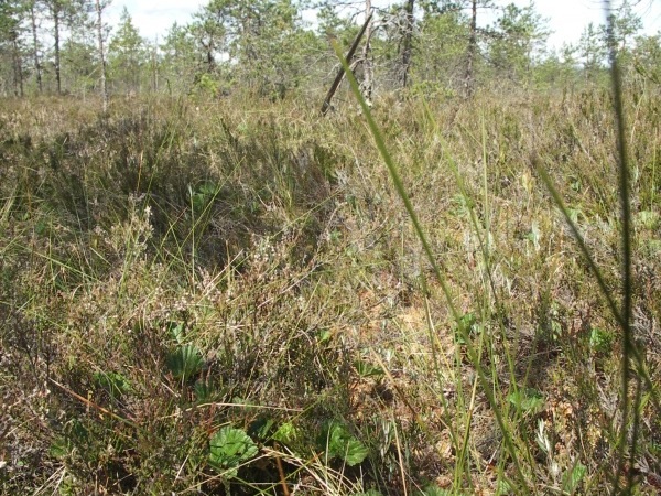 Ymp&auml;rist&ouml; 1