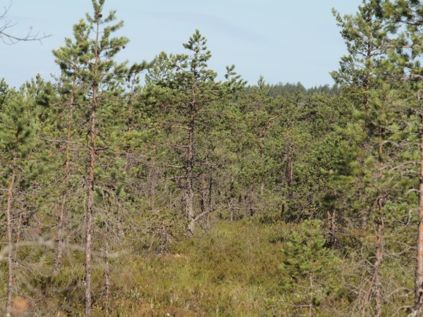 Ymp&auml;rist&ouml; 2