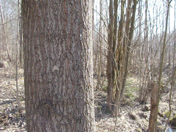 Ymp&auml;rist&ouml; 1