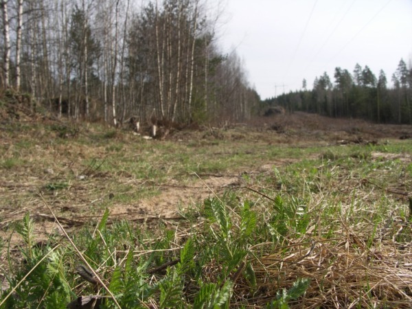 Ymp&auml;rist&ouml; 2