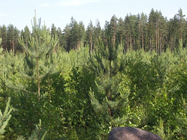 ymp&auml;rist&ouml; 2