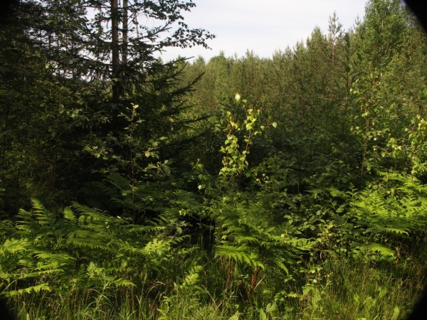 Ymp&auml;rist&ouml; 3