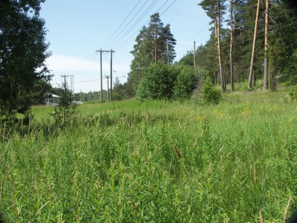 Ymp&auml;rist&ouml; 4