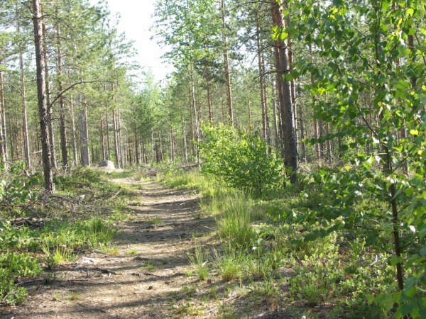 Ymp&auml;rist&ouml; 1