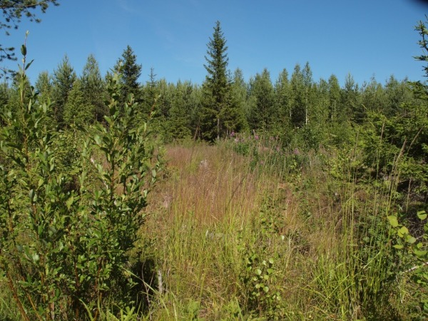 Ymp&auml;rist&ouml; 2