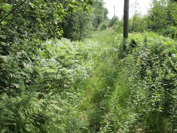 Ymp&auml;rist&ouml; 1