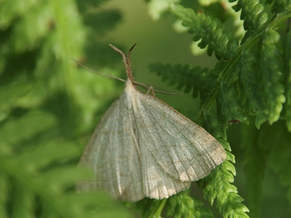 Ymp&auml;rist&ouml; 1a