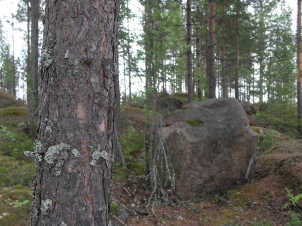 Ymp&auml;rist&ouml; 1