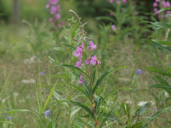 Ymp&auml;rist&ouml; 1