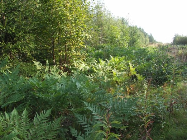 Ymp&auml;rist&ouml; 1