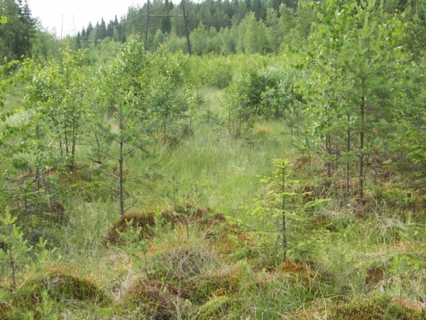 Ymp&auml;rist&ouml; 1