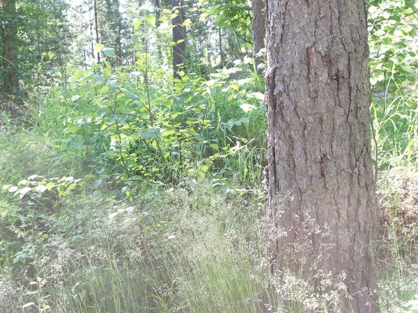 Ymp&auml;rist&ouml; 1