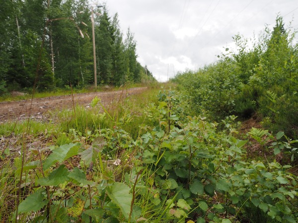 Ymp&auml;rist&ouml; 2