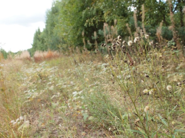 Ymp&auml;rist&ouml; 2