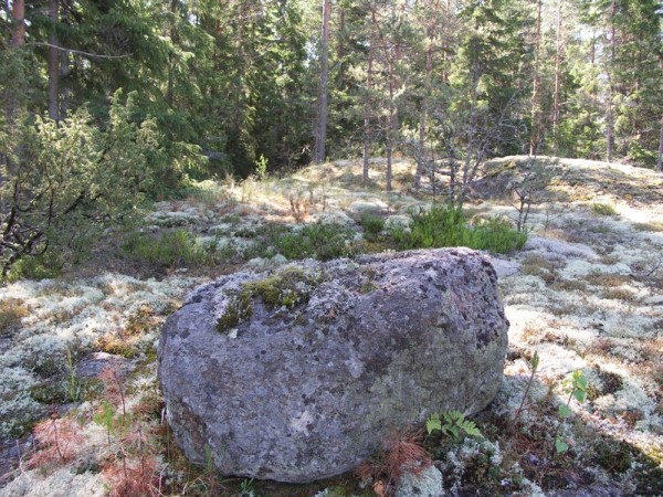 Ymp&auml;rist&ouml; 1