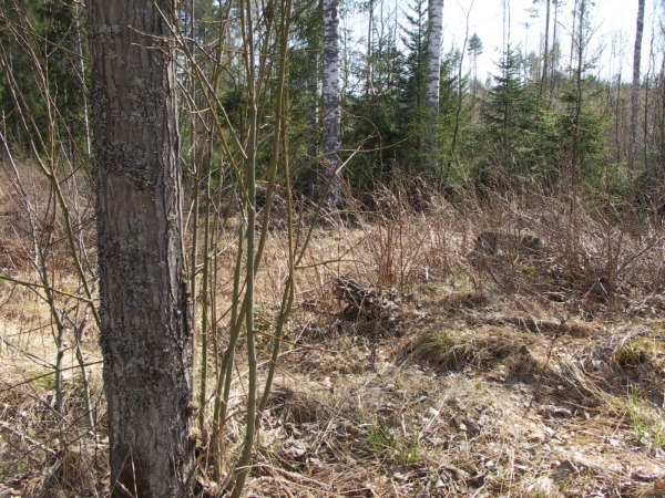 Ymp&auml;rist&ouml; 1