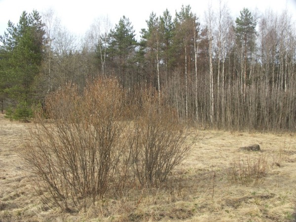 Ymp&auml;rist&ouml; 2