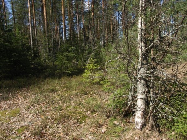 Ymp&auml;rist&ouml; 1