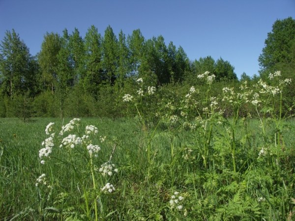 Ymp&auml;rist&ouml; 1