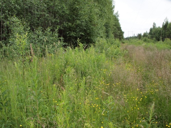 Ymp&auml;rist&ouml; 2