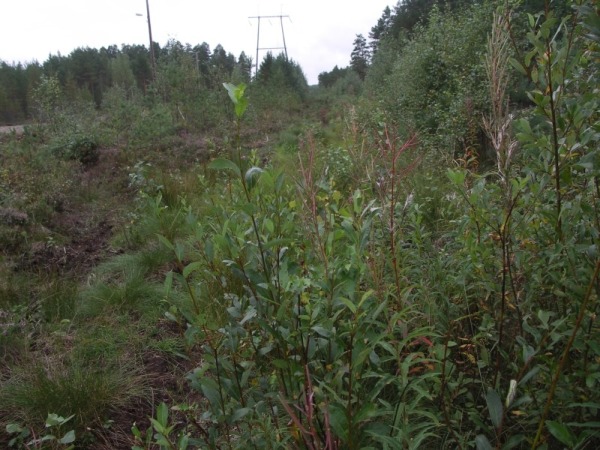 Ymp&auml;rist&ouml; 1