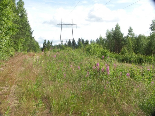 Ymp&auml;rist&ouml; 1