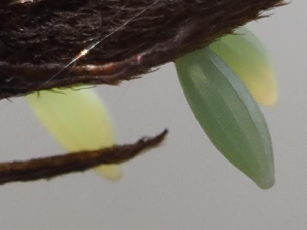 Kuva 20.5.2015b