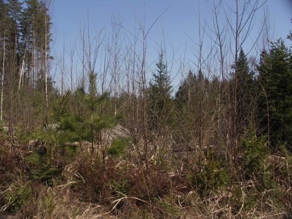 Ymp&auml;rist&ouml; 1