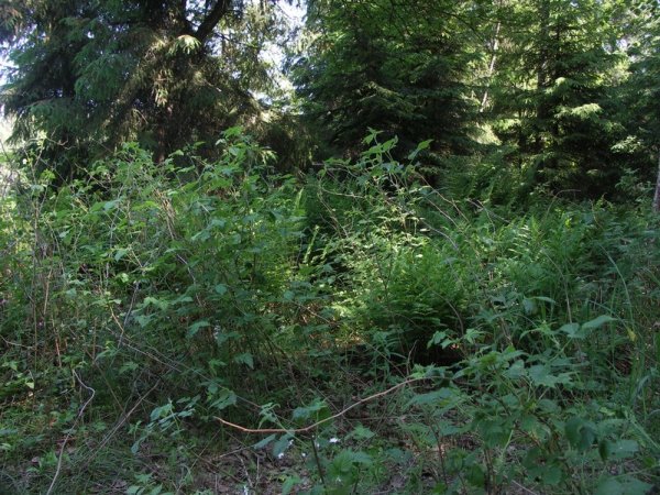 Ymp&auml;rist&ouml; 1