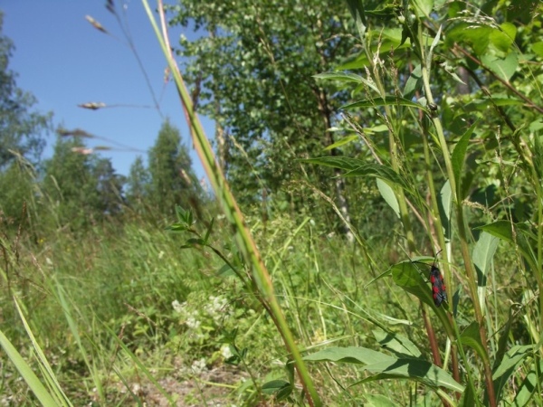 Ymp&auml;rist&ouml; 1