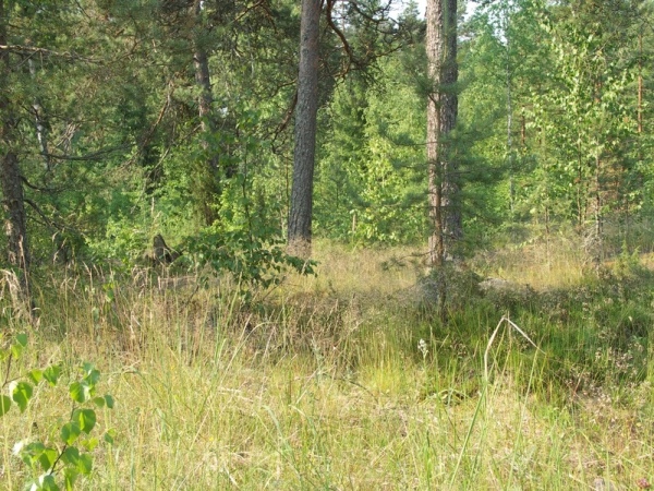 Ymp&auml;rist&ouml; 2