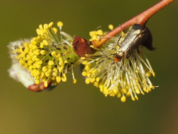 Kuva 15.5.2019a