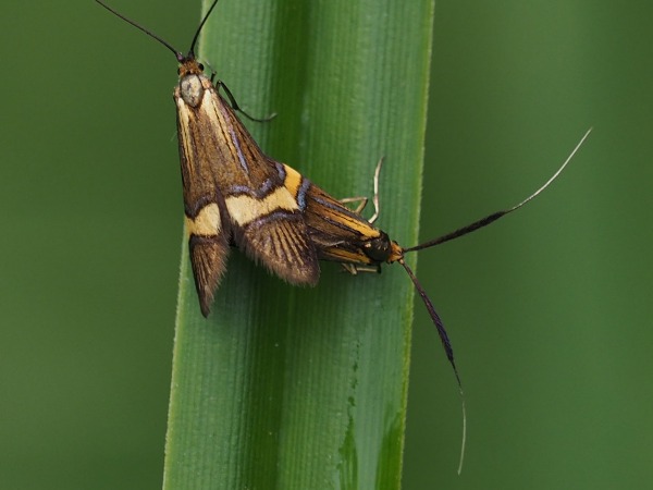 Kuva 6a