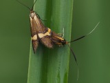 Kuva 6a