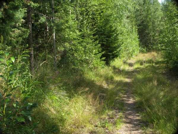 Elinympäristö 1